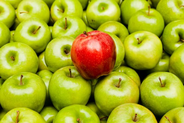 Contraste entre el pretérito perfecto y el pretérito indefinido II