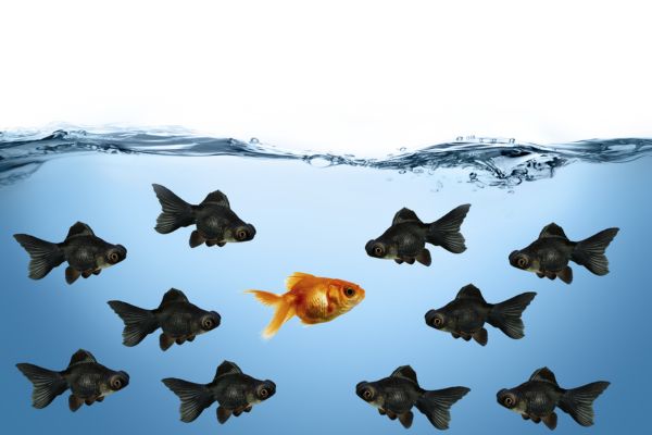 Online Spanish Course to learn how to use the subjunctive to express opinion and disagreement - Your Spanish Hub